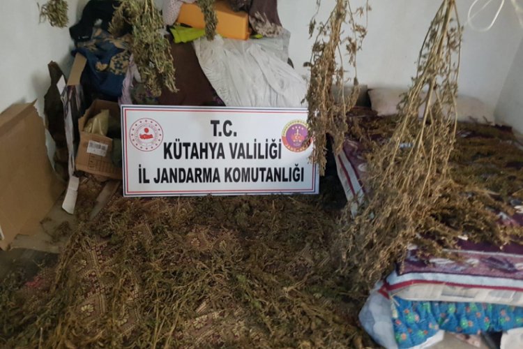Tutuklunun evinde 38 kilo esrar ele ge&ccedil;irildi