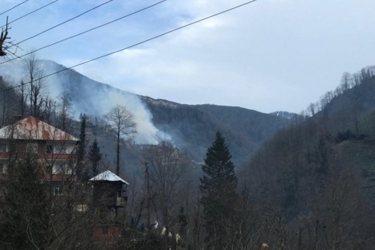&Ouml;rt&uuml; yangınları Rize'yi de sardı