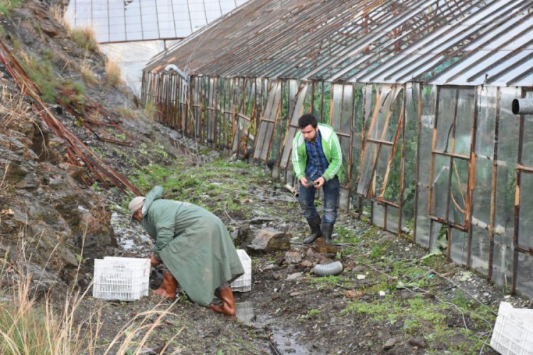 Yağmur ve fırtına seraları vurdu
