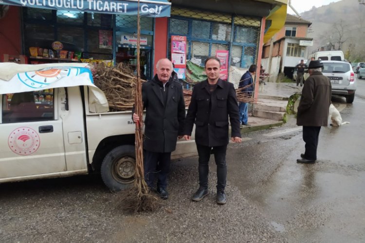 &Ccedil;ift&ccedil;ilere 650 adet Trabzon Hurması fidanı verildi