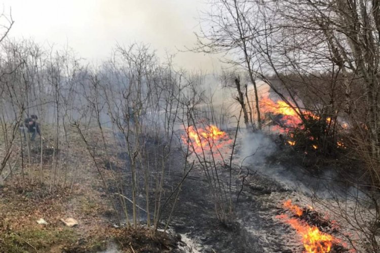Karadeniz'de 5 ilde 71 noktada yangınlar s&uuml;r&uuml;yor