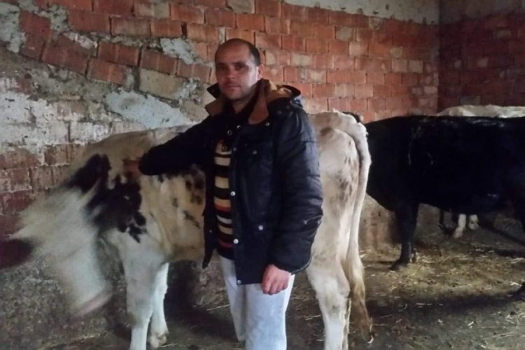 Krediyle aldığı inekleri &ccedil;alındı