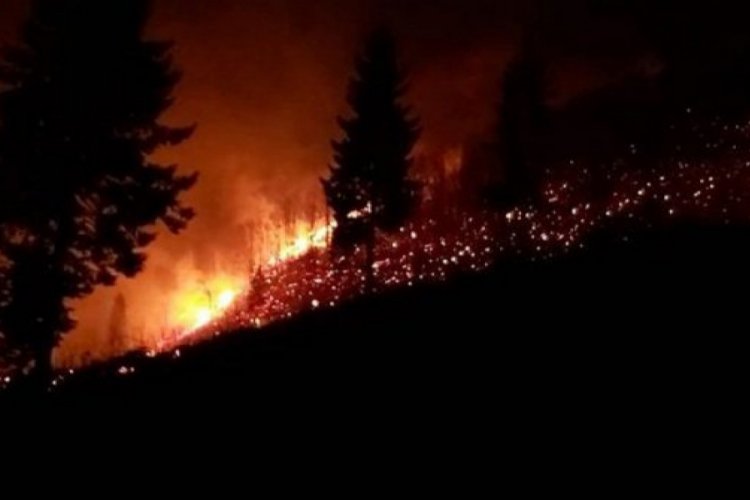 Yangınlarla ilgili 7 kişi hakkında soruşturma!