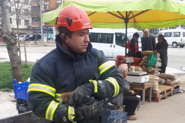 Araca sıkışan kediyi itfaiye kurtardı