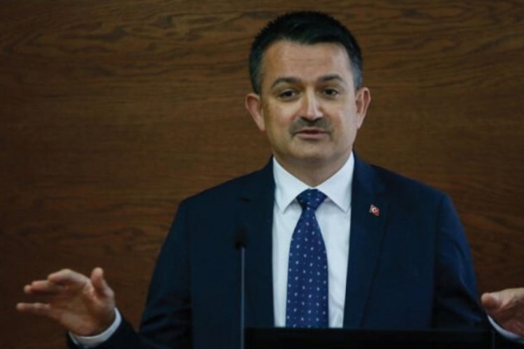 Bakan Pakdemirli'den orman yangınlarına ilişkin a&ccedil;ıklama