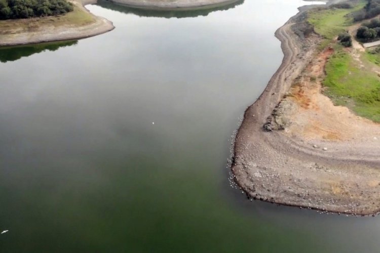 İstanbul barajları hastalığa davetiye &ccedil;ıkarıyor