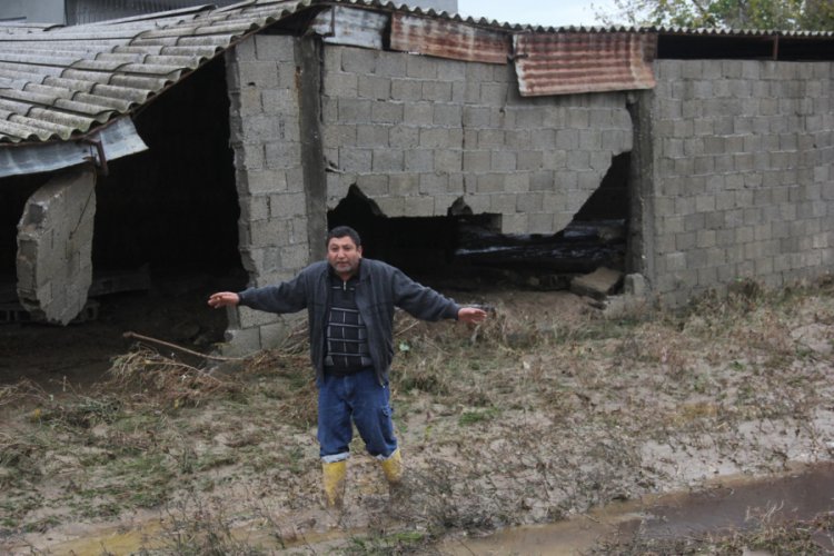 Aşırı yağış nedeniyle ahırlardaki horozlar telef oldu, b&uuml;y&uuml;kbaş hayvanlar g&uuml;&ccedil;l&uuml;kle kurtarıldı