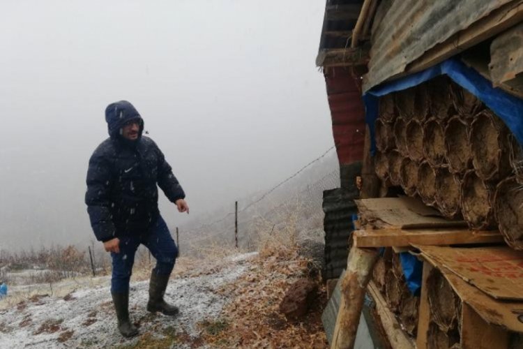 Yaylalardan inen arılar, kış uykusuna yattı