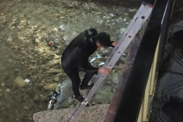 Mahsur kalan kediyi gen&ccedil; adam kurtardı