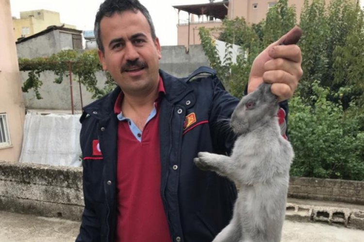 Evin bacasına d&uuml;şt&uuml;, itfaiye seferber oldu