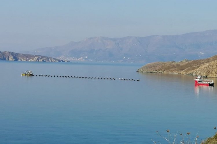 Muhtarlar midye &ccedil;iftliği istemiyor