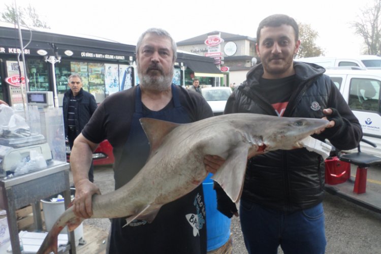 Bursa'da d&uuml;şmeyen balık fiyatları alıcısını azalttı
