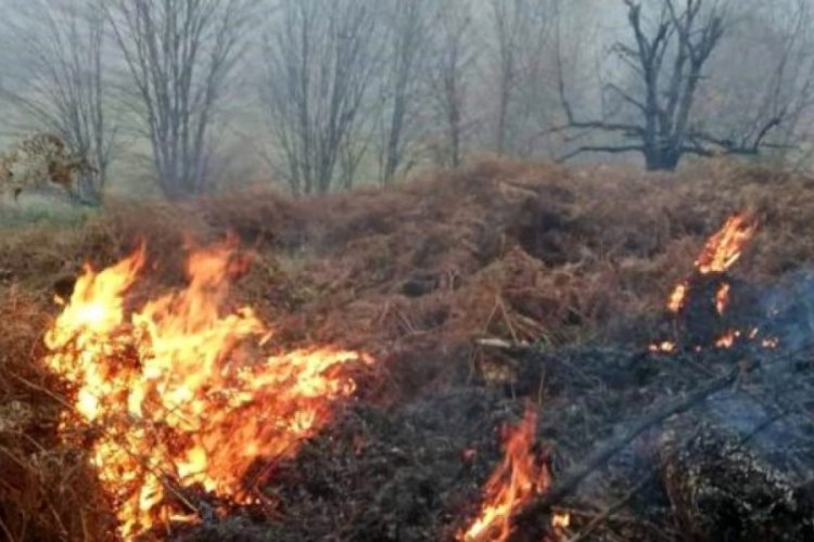 &Ouml;rt&uuml; yangınlarına neden olan 5 kişi hakkında su&ccedil; duyurusu