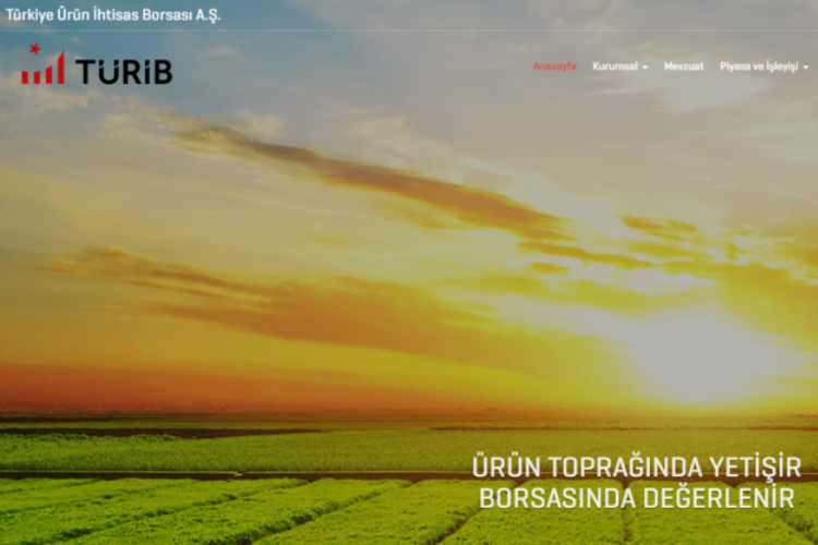 Bursa'da tarımsal bir devrim: T&Uuml;RİB (&Ouml;ZEL HABER)