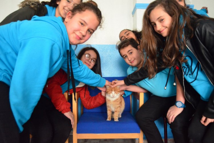 Sahiplendikleri kedi okulun &ouml;ğrencisi oldu