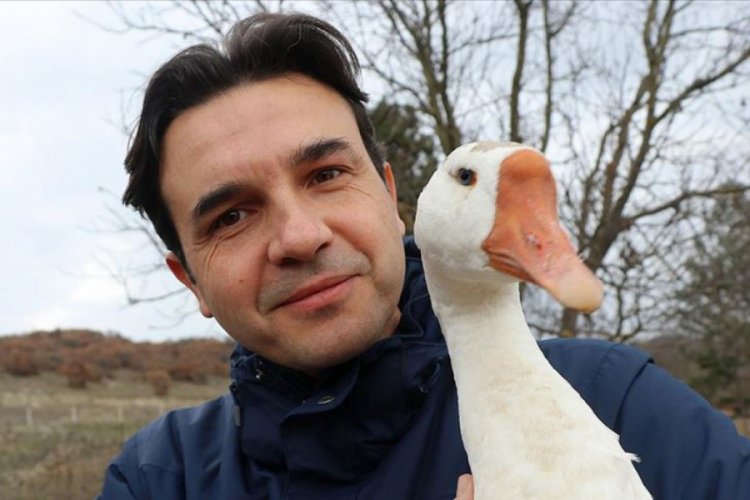 Okuduğu haberden etkilenen m&uuml;teahhit, kaz yetiştiricisi oldu
