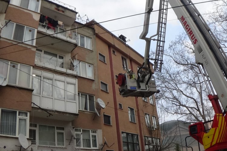 Bursa İneg&ouml;l'de ilgin&ccedil; kedi kurtarma operasyonu