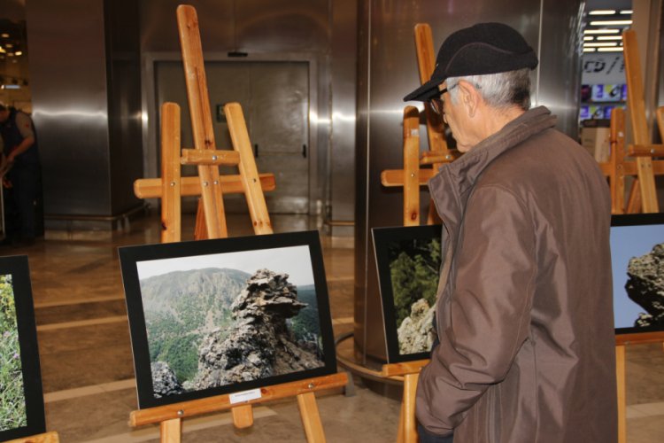 Doğadaki Y&uuml;zler Fotoğraf Sergisi hayran bıraktı