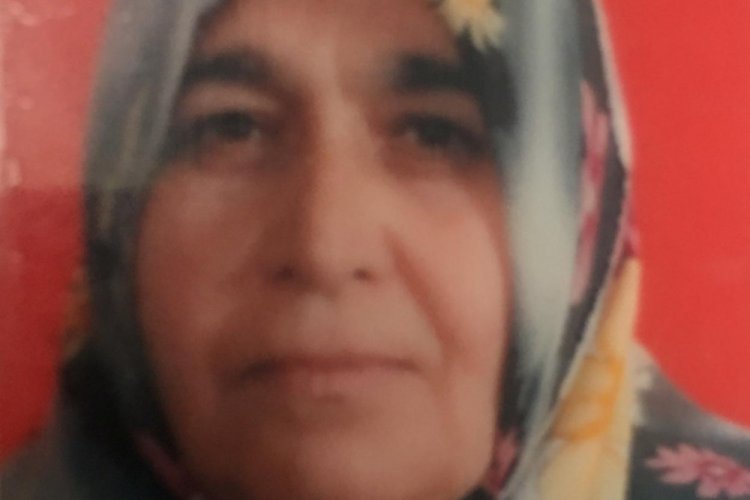 Otomobilin &ccedil;arptığı kadın &ouml;ld&uuml;