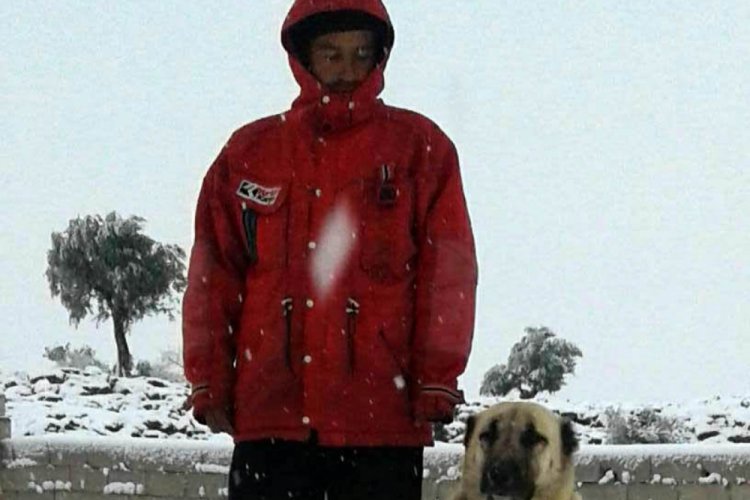 Hatay'da zehirlendiği &ouml;ne s&uuml;r&uuml;len k&ouml;peğin sahibi serbest kaldı