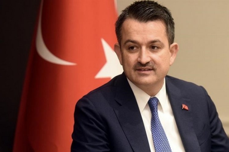 Bakan Pakdemirli'den yılbaşı uyarısı