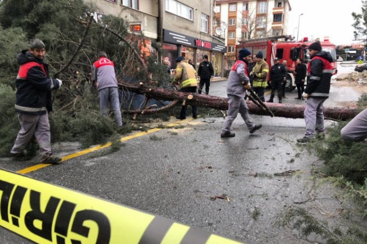 Fırtınaya dayanamayan ağa&ccedil;, otomobilin &uuml;zerine devrildi