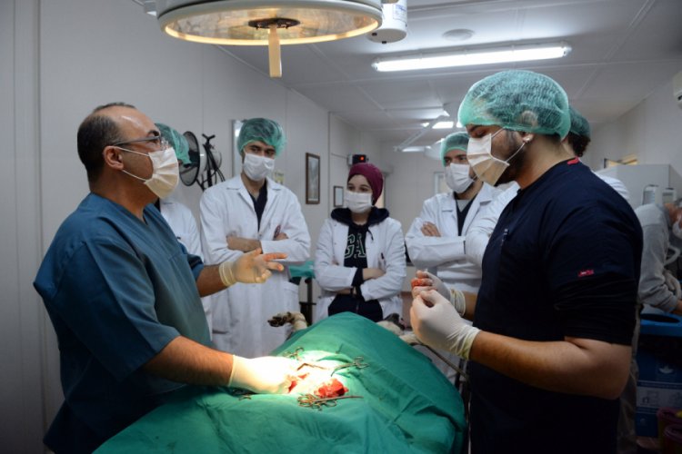 Gen&ccedil; veterinerler Bursa Osmangazi'de eğitim g&ouml;r&uuml;yor