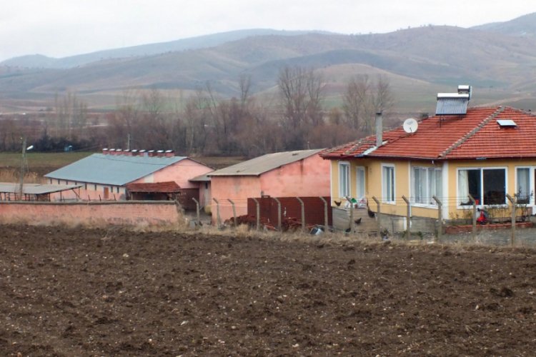 Milyon liralık mandırasına elektrik hattı &ccedil;ektiremedi