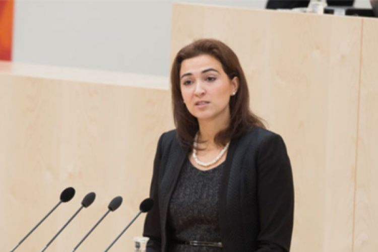 Boşnak asıllı siyaset&ccedil;iye sosyal medyada ırk&ccedil;ı saldırı