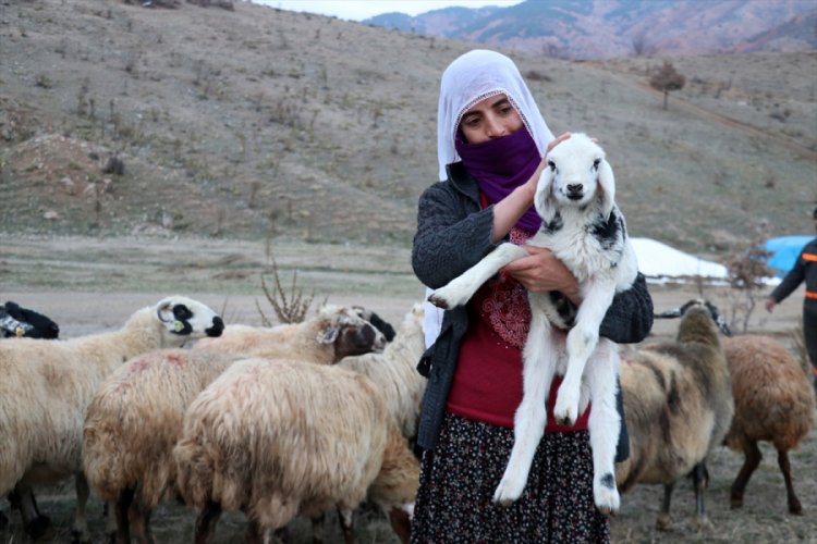 Yeni yıla, &ccedil;etin kış şartlarında merada girdiler