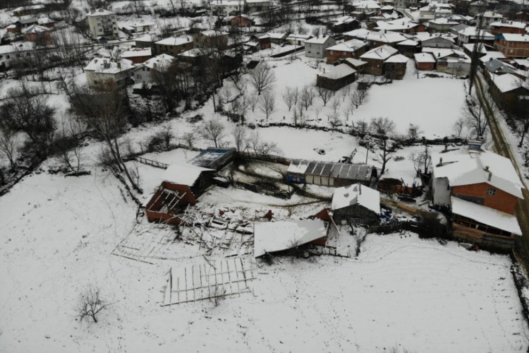 Bursa'da ahırın çatısı kara dayanamadı, 50'ye yakın koyun telef oldu