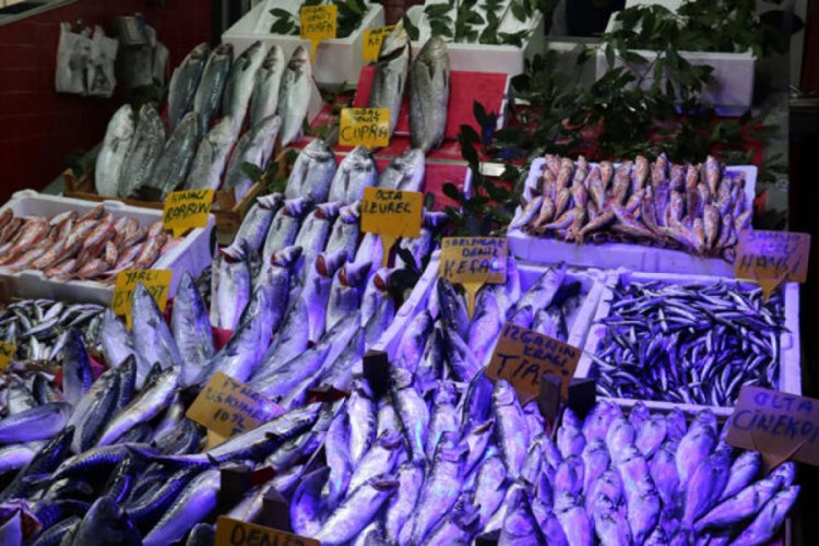 Karadeniz'de balık azlığı fiyatlara yansıyor