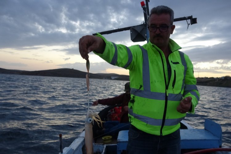 Bozcaada kalamarı gelir kapısı oldu