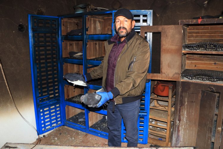 &Ccedil;almaya kalkıştıkları g&uuml;vercinleri yaktılar