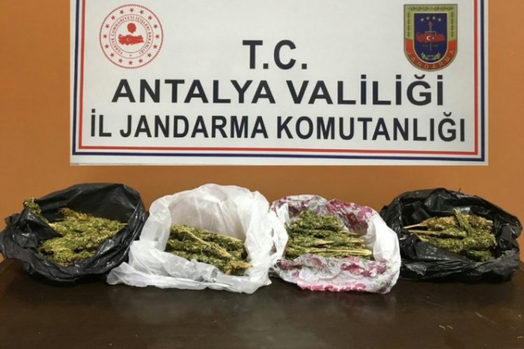 Anne ve oğlu uyuşturucu ticareti yaparken yakalandı