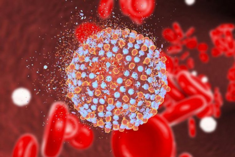 Hamilelik d&ouml;neminde Hepatit C taraması