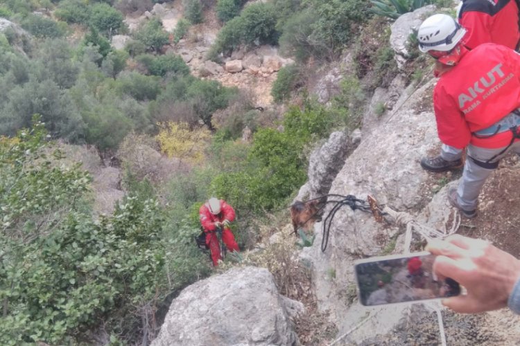 Kayalıklarda mahsur kalan ke&ccedil;i AKUT ekiplerince kurtarıldı