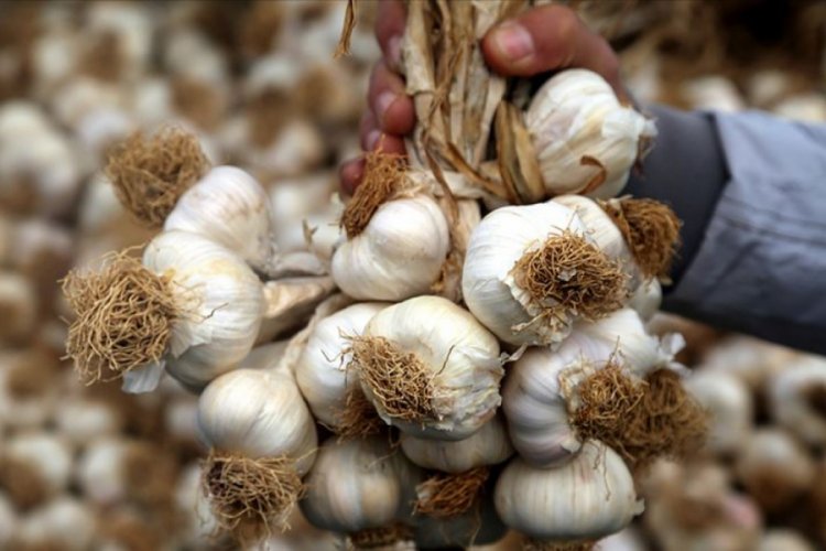 Gıdada 2019'un zam şampiyonu 'sarımsak'