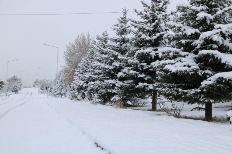 251 k&ouml;y yolu ara&ccedil; ulaşımına kapalı