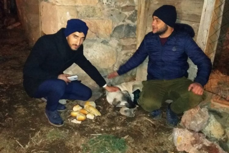 Ayağından vurulan k&ouml;peğe şefkat eli