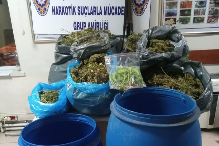 Evdeki varillerden esrar &ccedil;ıktı: 5 g&ouml;zaltı
