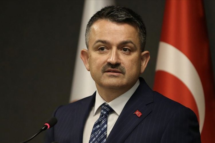 Pakdemirli: "Milletimiz zaferlere &ccedil;i&ccedil;ekli yollardan gitmemiştir"