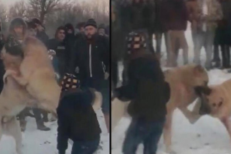 Konya'da isyan ettiren g&ouml;r&uuml;nt&uuml;! 4 kişi g&ouml;zaltına alındı