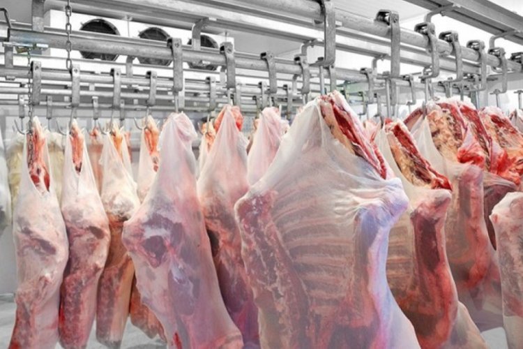Bursa Ticaret Borsası'nda Karkas dana etinin kilogramı ne kadar?