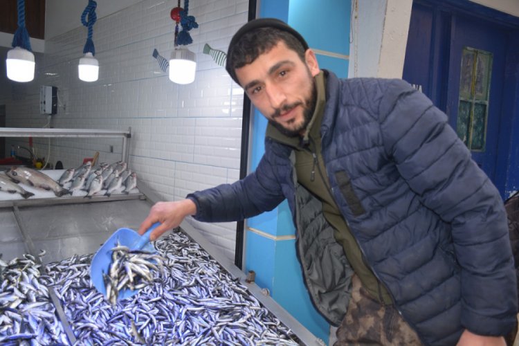 Hamsi geri d&ouml;nd&uuml;, fiyatı 10 liraya d&uuml;şt&uuml;
