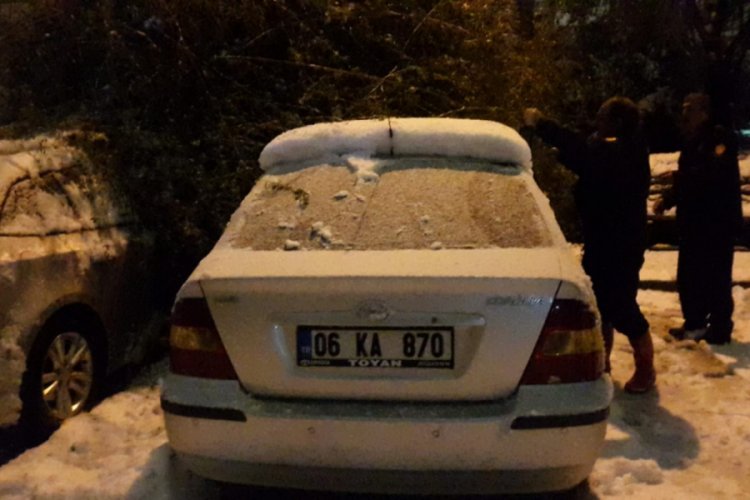 Kar yağışı ağa&ccedil; devirdi