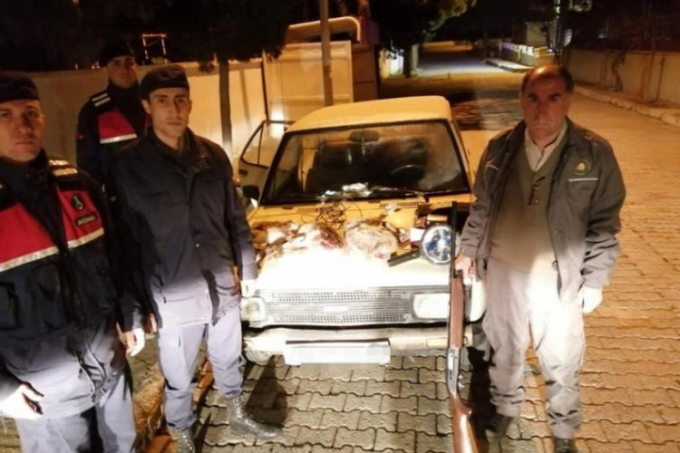 Far avı yapan 4 kişiye 8 bin 771 TL para cezası