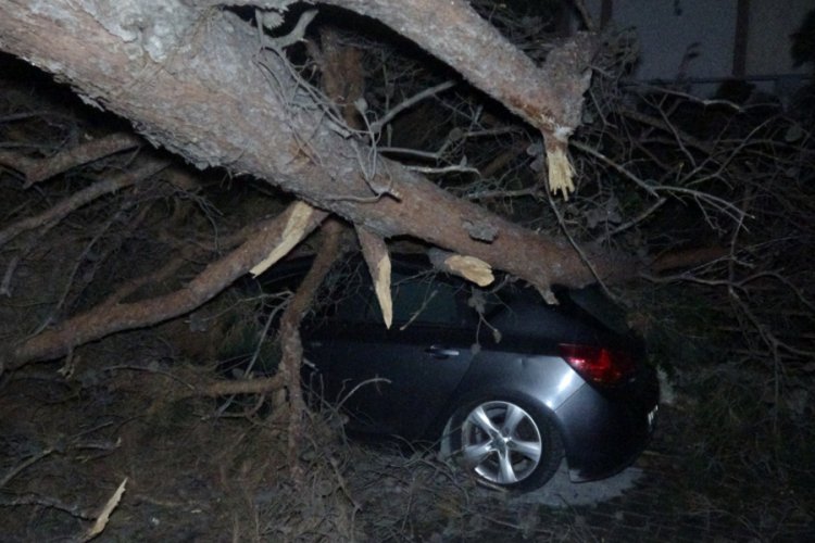 Balıkesir'de fırtına; tabela ve ağa&ccedil;lar devrildi