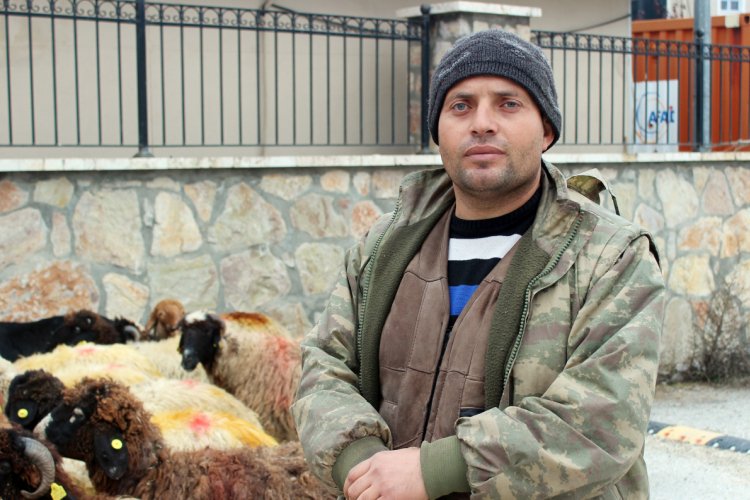 Bir besici koyunlarını AFAD binası &ouml;n&uuml;ne getirerek hayvanları i&ccedil;in &ccedil;adır istedi