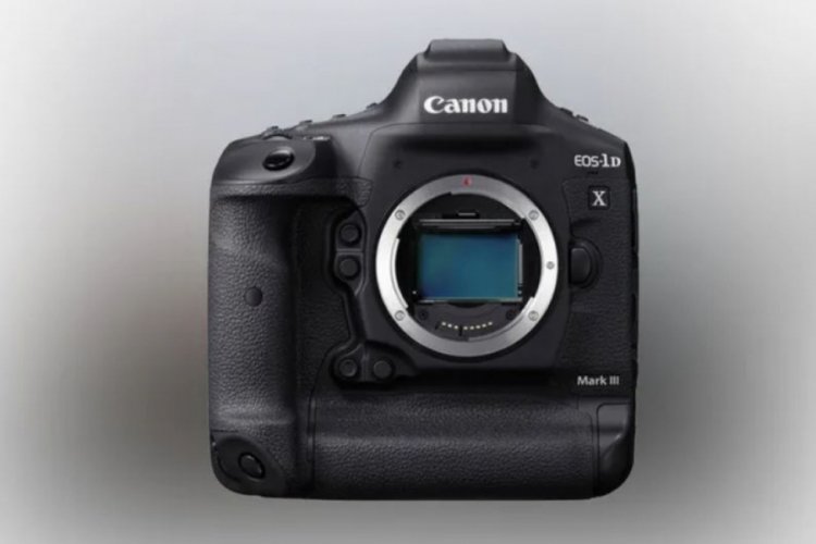 Canon d1 discount